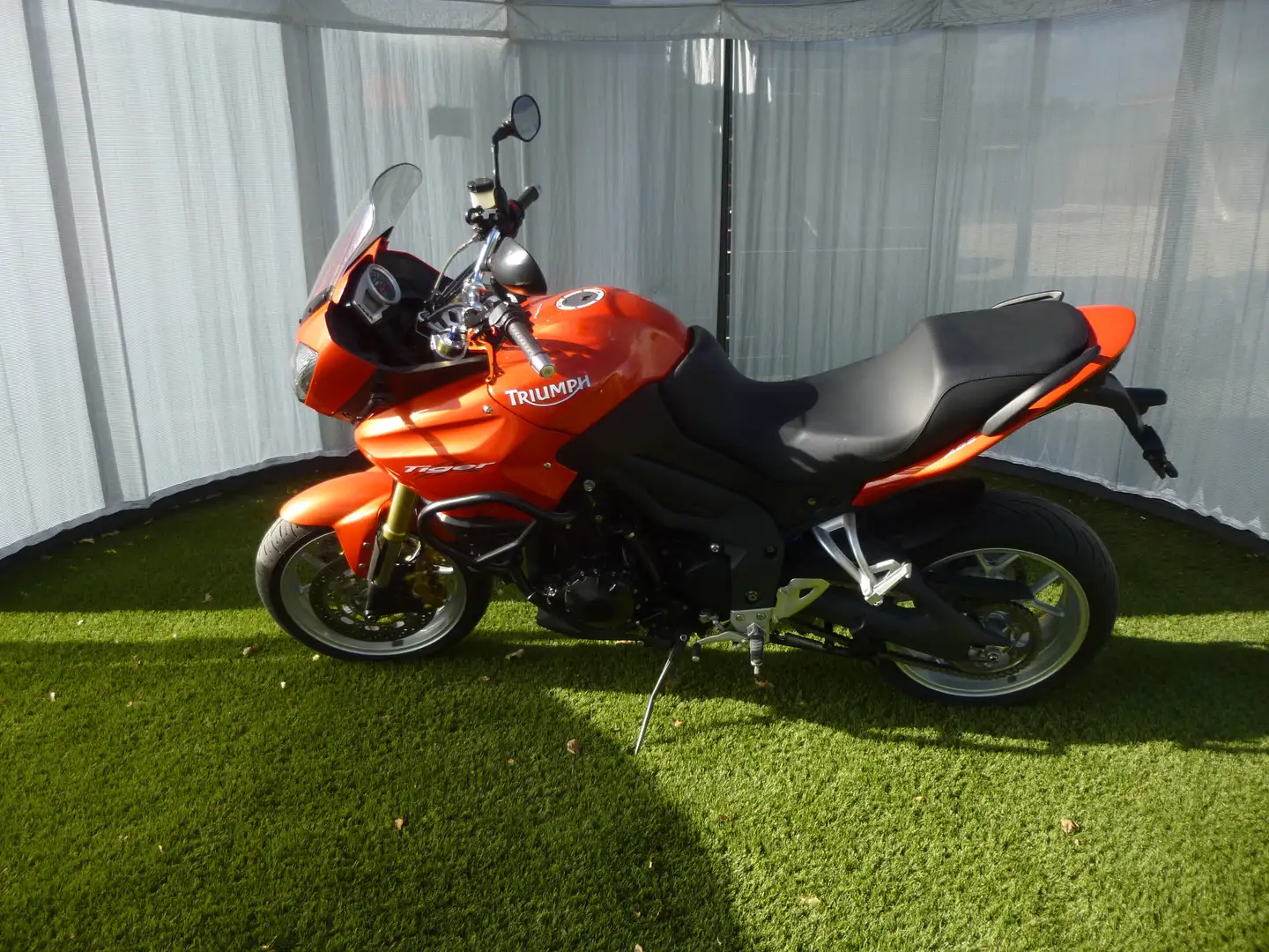 Triumph Tiger 1050 Tiger 1050 - 1