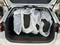 Volkswagen Passat Variant Business Bluetooth LED Klima Weiß - thumbnail 14
