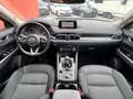Mazda CX-5 SKYACTIVE-G*Exclusive-Line 2WD*360Grad*Navi*LED* Weiß - thumbnail 5