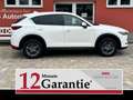 Mazda CX-5 SKYACTIVE-G*Exclusive-Line 2WD*360Grad*Navi*LED* Weiß - thumbnail 2