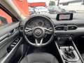 Mazda CX-5 SKYACTIVE-G*Exclusive-Line 2WD*360Grad*Navi*LED* Weiß - thumbnail 4