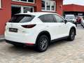 Mazda CX-5 SKYACTIVE-G*Exclusive-Line 2WD*360Grad*Navi*LED* Weiß - thumbnail 6