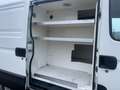 Iveco Daily 35S14V 300 H2 L | Koelwagen | AUTOMAAT | 3500 kg T Wit - thumbnail 4