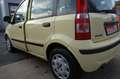 Fiat Panda 1.2 8V Classic Giallo - thumbnail 6
