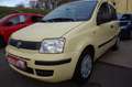 Fiat Panda 1.2 8V Classic Giallo - thumbnail 3