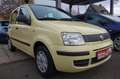 Fiat Panda 1.2 8V Classic Giallo - thumbnail 1