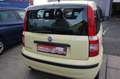 Fiat Panda 1.2 8V Classic Giallo - thumbnail 7