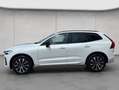 Volvo XC60 XC60 B4 AWD Plus-Dark Aut ACC BLIS Leder AHK Weiß - thumbnail 2