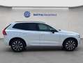Volvo XC60 XC60 B4 AWD Plus-Dark Aut ACC BLIS Leder AHK Weiß - thumbnail 5