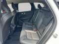 Volvo XC60 XC60 B4 AWD Plus-Dark Aut ACC BLIS Leder AHK Weiß - thumbnail 12