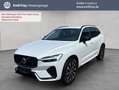 Volvo XC60 XC60 B4 AWD Plus-Dark Aut ACC BLIS Leder AHK Weiß - thumbnail 1