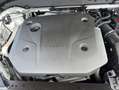 Volvo XC60 XC60 B4 AWD Plus-Dark Aut ACC BLIS Leder AHK Weiß - thumbnail 14