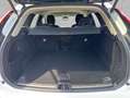 Volvo XC60 XC60 B4 AWD Plus-Dark Aut ACC BLIS Leder AHK Weiß - thumbnail 4