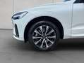 Volvo XC60 XC60 B4 AWD Plus-Dark Aut ACC BLIS Leder AHK Weiß - thumbnail 16