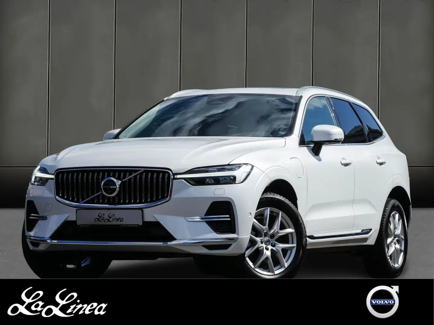 Volvo XC60 T8 Plus Bright/360/Pano/Memory Weiß - 1