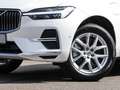 Volvo XC60 T8 Plus Bright/360/Pano/Memory Weiß - thumbnail 6