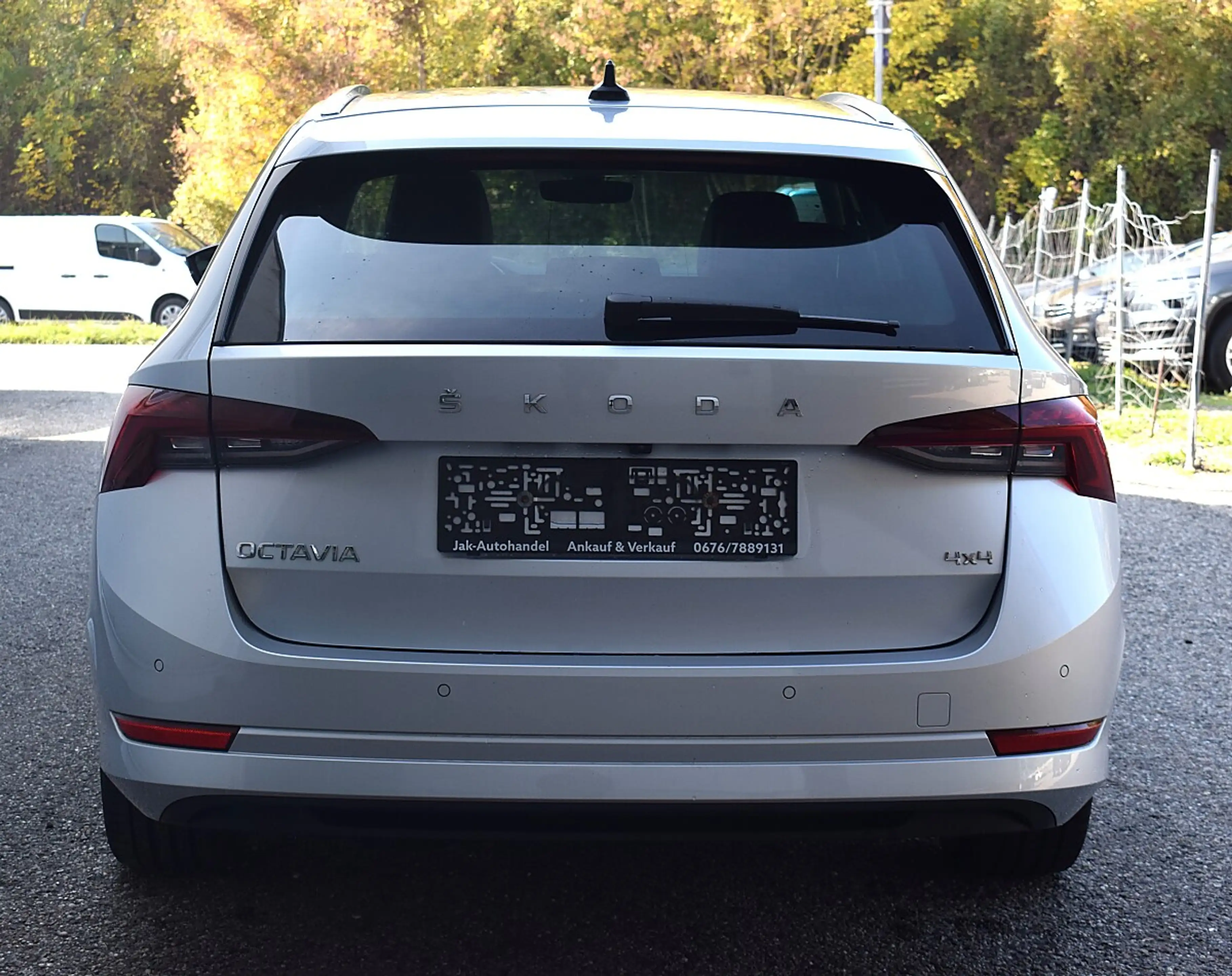 Skoda Octavia 2.0 TDI DPF Style 4x4 (EURO 6d) — photo 6