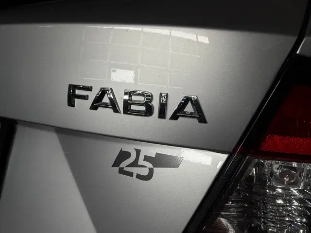 Skoda Fabia view 17