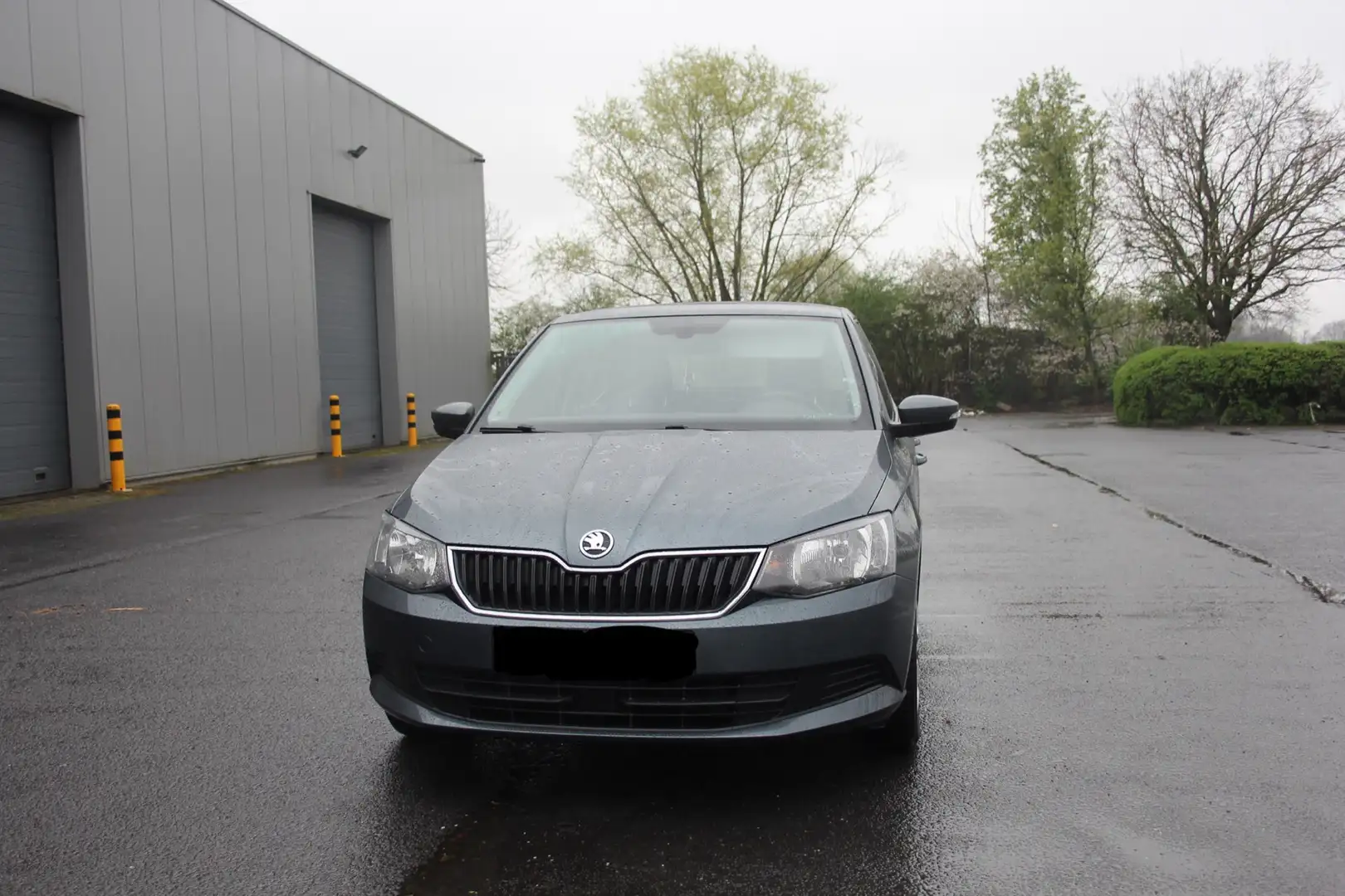 Skoda Fabia 1.0 TSI Gris - 2