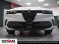 Alfa Romeo Tonale 1.6 diesel 130 CV TCT6 Ti PROMO FLEX Bianco - thumbnail 14