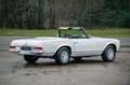 Mercedes-Benz SL 230 Pagoda | Manual | Multiple rally participations Weiß - thumbnail 9