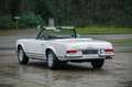 Mercedes-Benz SL 230 Pagoda | Manual | Multiple rally participations Weiß - thumbnail 13