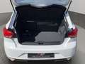 SEAT Ibiza Style Edition 1.0 TSI +GRA+SHZ+FullLink Weiß - thumbnail 15