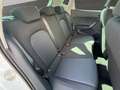 SEAT Ibiza Style Edition 1.0 TSI +GRA+SHZ+FullLink Weiß - thumbnail 14