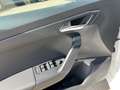 SEAT Ibiza Style Edition 1.0 TSI +GRA+SHZ+FullLink Weiß - thumbnail 12