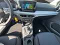 SEAT Ibiza Style Edition 1.0 TSI +GRA+SHZ+FullLink Weiß - thumbnail 11