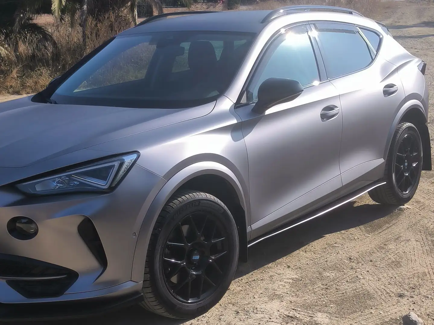 CUPRA Formentor Formentor 2.0 TDI 150 DSG 4Drive Gris - 1