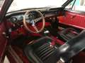 Ford Mustang Czerwony - thumbnail 6