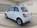 Fiat 500 1.0 Hybrid Dolcevita VARI COLORI!! Bianco - thumbnail 9