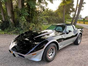 USA C3 pace-car
