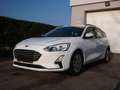 Ford Focus Traveller 1,5 EcoBlue Trend PARKPILOT TEMPOMAT Weiß - thumbnail 2