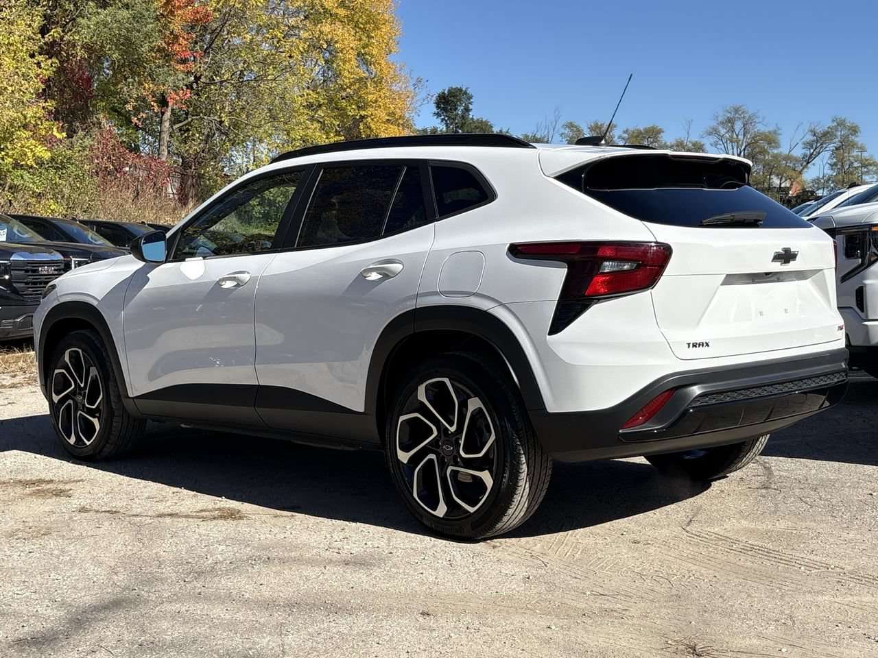 Image 5