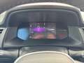 Renault Kangoo VAN Doppelkabine dCi 115 EDC L2 MAXI MY24 Grau - thumbnail 14