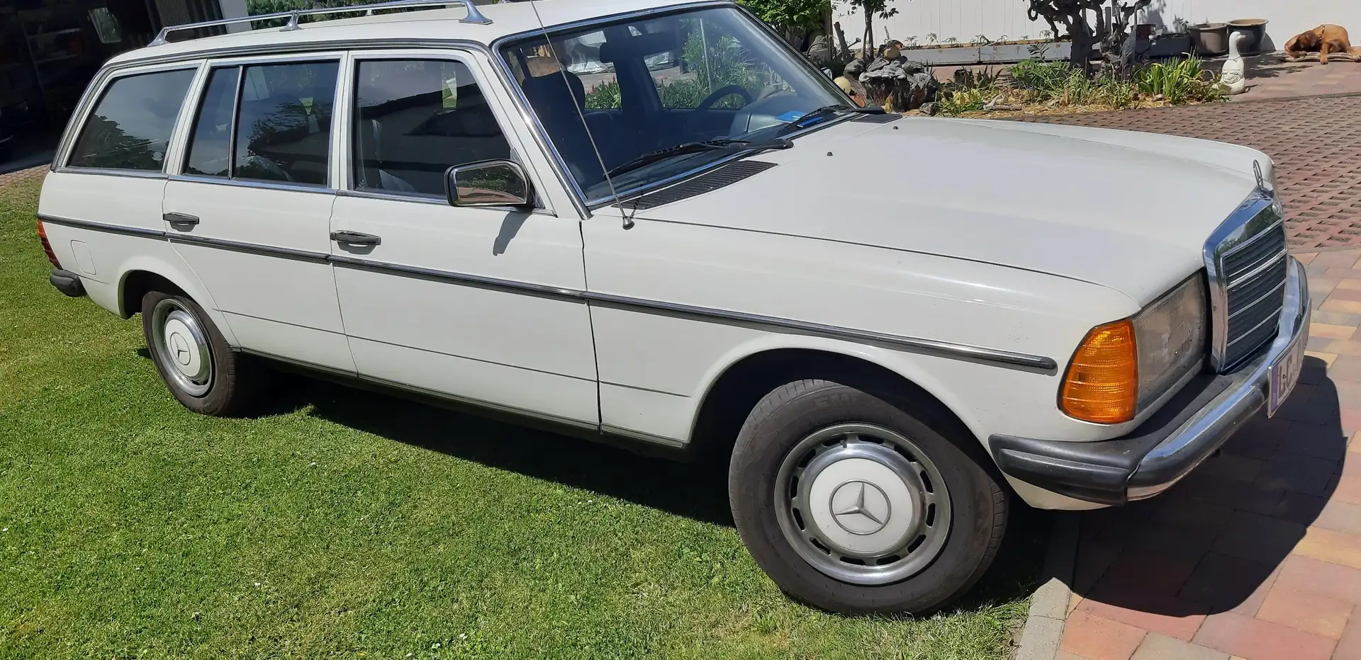 Mercedes-Benz 230 230 TE - 2