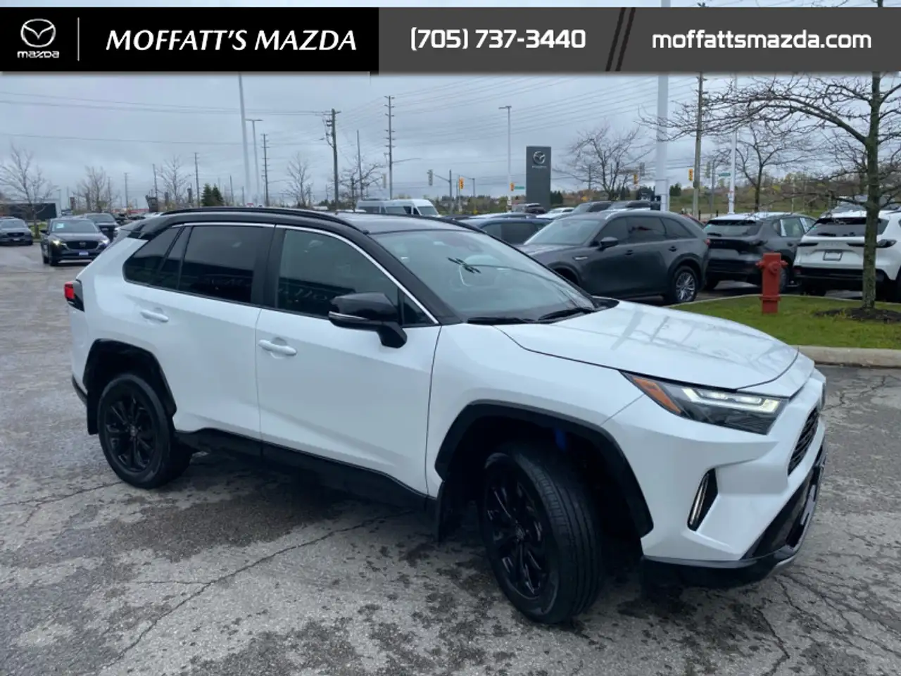 Toyota RAV 4 снимка Toyota RAV 4