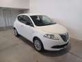 Lancia Ypsilon 1.2 69 CV 5 porte GPL Ecochic Gold Bianco - thumbnail 3