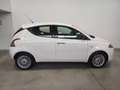 Lancia Ypsilon 1.2 69 CV 5 porte GPL Ecochic Gold Bianco - thumbnail 4