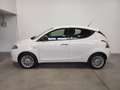 Lancia Ypsilon 1.2 69 CV 5 porte GPL Ecochic Gold Bianco - thumbnail 7