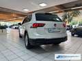 Volkswagen Tiguan Life eHybrid 1.4 TSI EU6d Navi Digitales Cockpit L Weiß - thumbnail 3