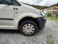 Volkswagen Caddy Life Tramper 1,9 TDI D-PF 4MOTION - thumbnail 12