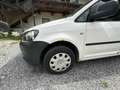 Volkswagen Caddy Life Tramper 1,9 TDI D-PF 4MOTION - thumbnail 3