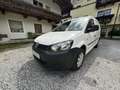 Volkswagen Caddy Life Tramper 1,9 TDI D-PF 4MOTION - thumbnail 6
