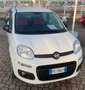 Fiat Panda 1.3 MJT 95 CV S&S Easy Blanc - thumbnail 8