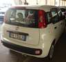 Fiat Panda 1.3 MJT 95 CV S&S Easy Blanc - thumbnail 24