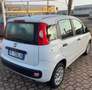 Fiat Panda 1.3 MJT 95 CV S&S Easy Blanc - thumbnail 6