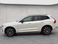 Volvo XC60 XC60 B4 AWD Plus-Dark Aut ACC BLIS Leder AHK Weiß - thumbnail 2